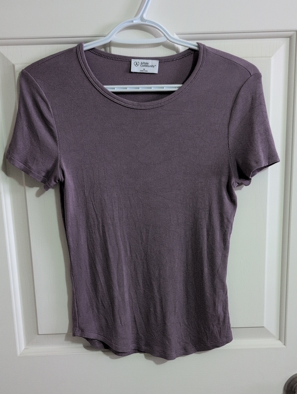 Aritzia Short Sleeve Crewneck Top — Mauve